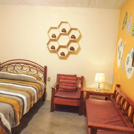 Los Nardos Hostel -Pet Friendly- Oaxaca ภายนอก รูปภาพ